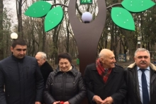 «Солнечное дерево» установлено в Ростове