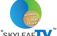 Заседание Первого общественного экологического телевидения SKYLEAF TV